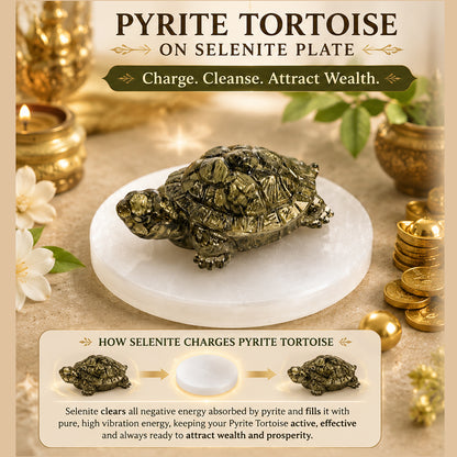 Pyrite Tortoise (Kachhua) with Selenite Plate | Natural Crystal Turtle for Good Luck & Wealth | Vastu Decorative Showpiece | North & North-East Direction Placement | Home, Office & Living Room | 7 cm (2.7 × 1 Inch)