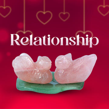 Relationship