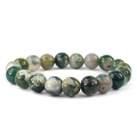 Tree Agate Crystal Bracelet | Natural Healing Gemstone Bracelet for Growth & Abundance
