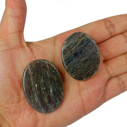 Natural Worry Palm Stone Oval Shape Cabochons Pack of 2 pc