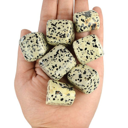 Dalmatian Jasper Tumble Stone