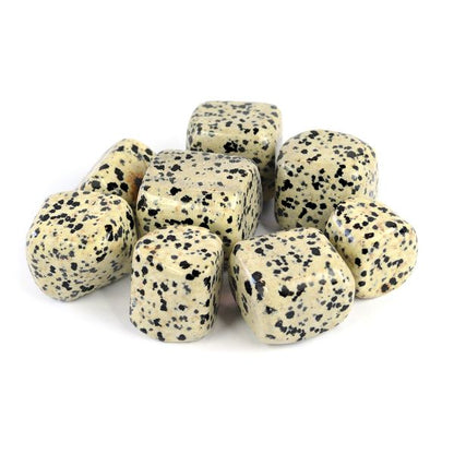 Dalmatian Jasper Tumble Stone
