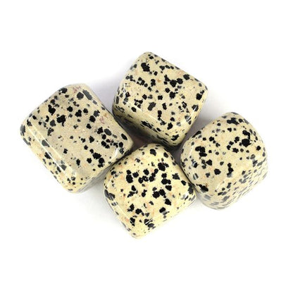 Dalmatian Jasper Tumble Stone