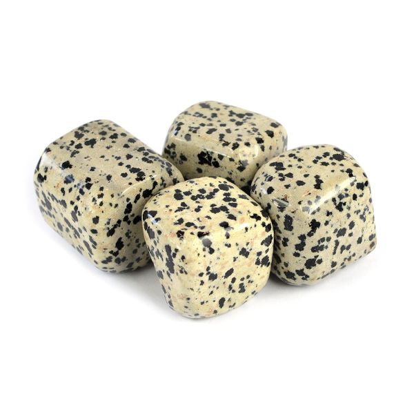 Dalmatian Jasper Tumble Stone