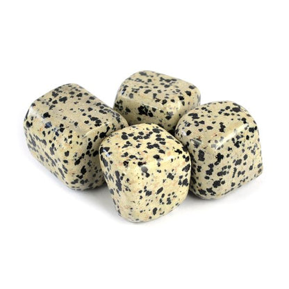 Dalmatian Jasper Tumble Stone