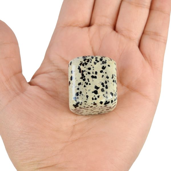 Dalmatian Jasper Tumble Stone