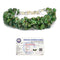 Green Aventurine