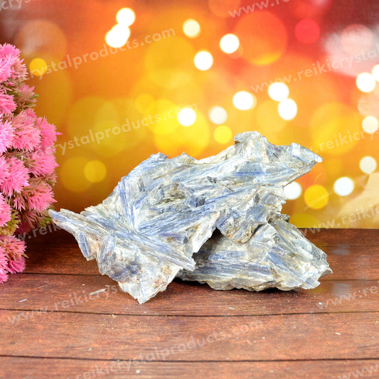 Kyanite Blue Raw Rough Stones Energized By Reiki Grand Master-500 GM