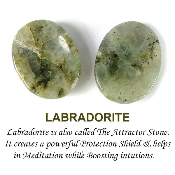 Natural Worry Palm Stone Oval Shape Cabochons Pack of 2 pc