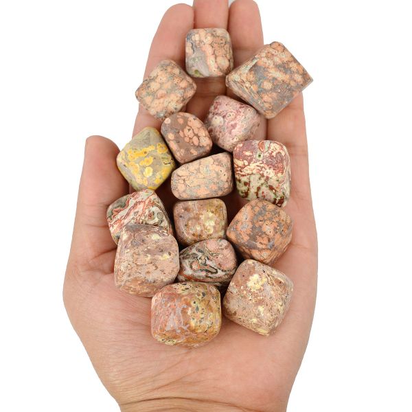 Leopard Skin Jasper Tumble Stone