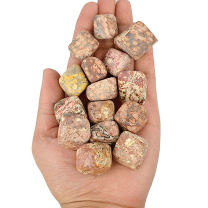 Leopard Skin Jasper Tumble Stone