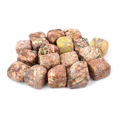 Leopard Skin Jasper Tumble Stone