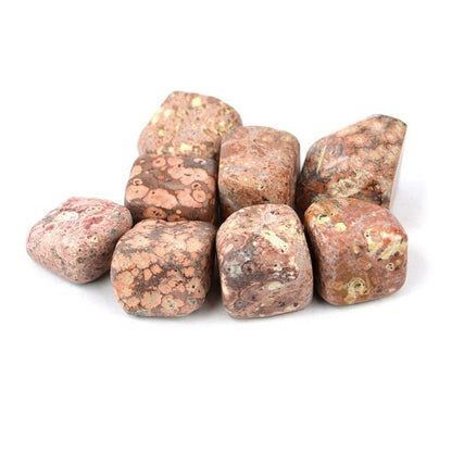 Leopard Skin Jasper Tumble Stone
