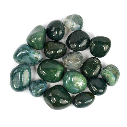 Moss Agate Tumble Stone