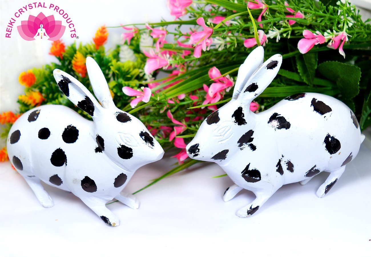 Brass Rabbit Pair Black & White for Vastu correction 400 Gram