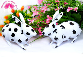 Brass Black & White Rabbit Pair for Vastu Remedy 850 Gram