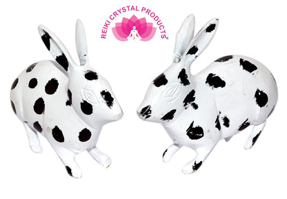 Brass Black & White Rabbit Pair for Vastu Remedy 1.2 kg