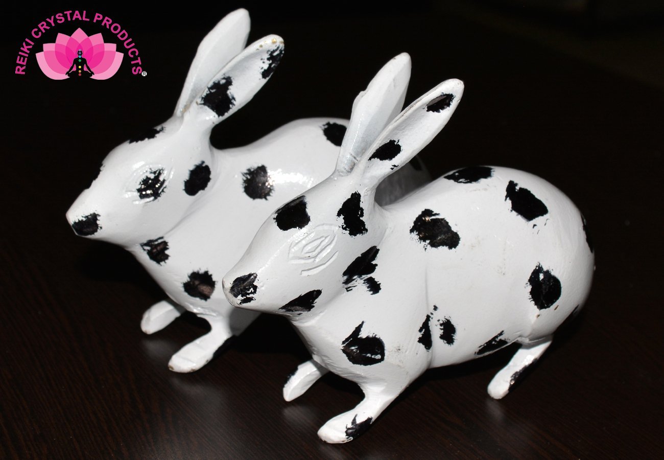 Brass Black & White Rabbit Pair for Vastu Remedy 1.2 kg