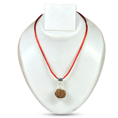 Lab Certified Five 5 Mukhi Rudraksha Pendant