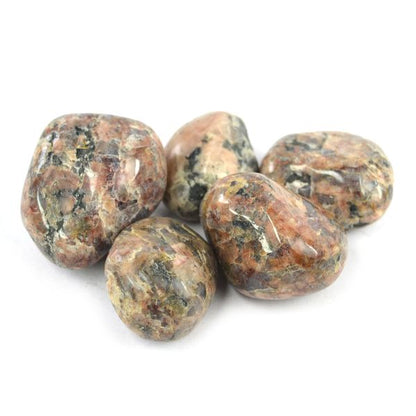 Spotted Jasper Tumble Stone