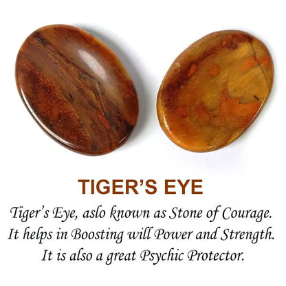 Natural Worry Palm Stone Oval Shape Cabochons Pack of 2 pc
