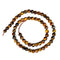 Tiger's Eye
