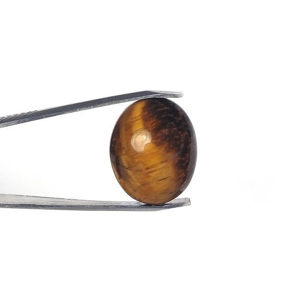 Natural Tiger Eye -7.25 Ratti Tiger Eye Oval Shape Loos Gemstone