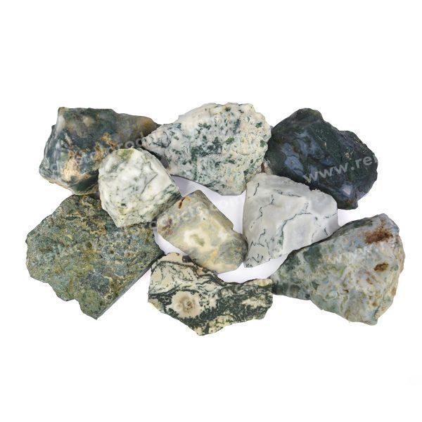 Tree Agate Raw Rough Stones