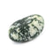 Tree Agate
