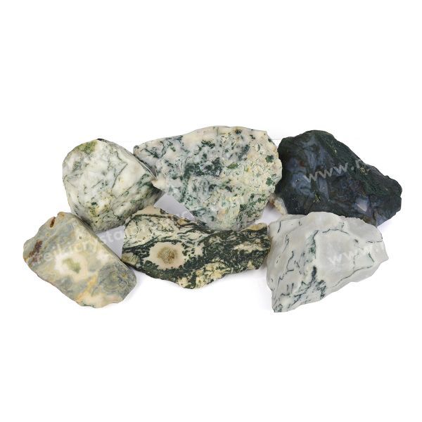 Tree Agate Raw Rough Stones