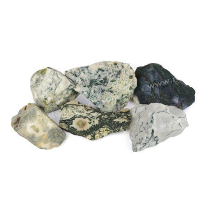 Tree Agate Raw Rough Stones