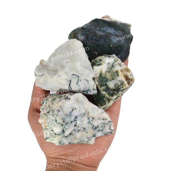 Tree Agate Raw Rough Stones