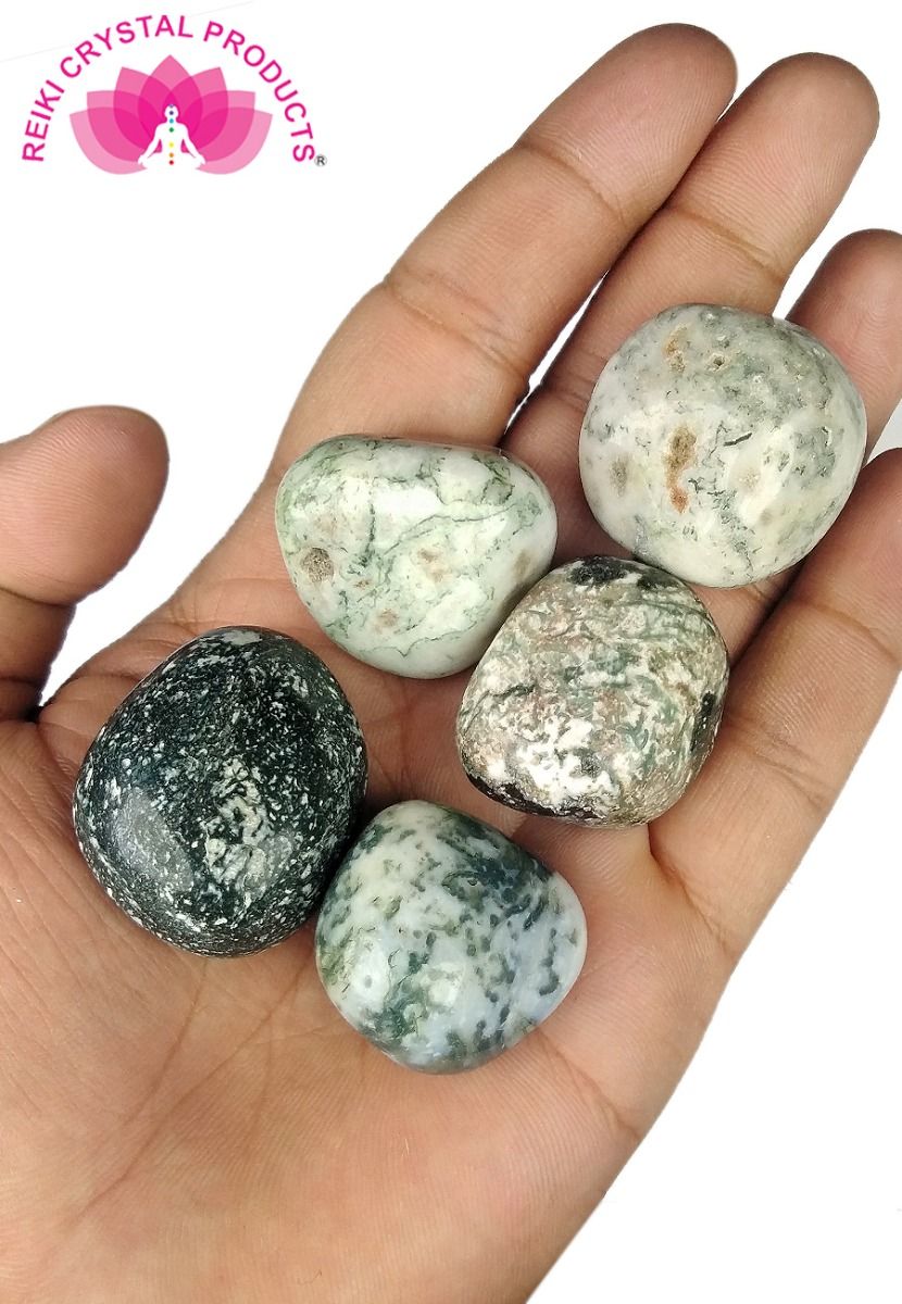 Tree Agate Tumble Stone