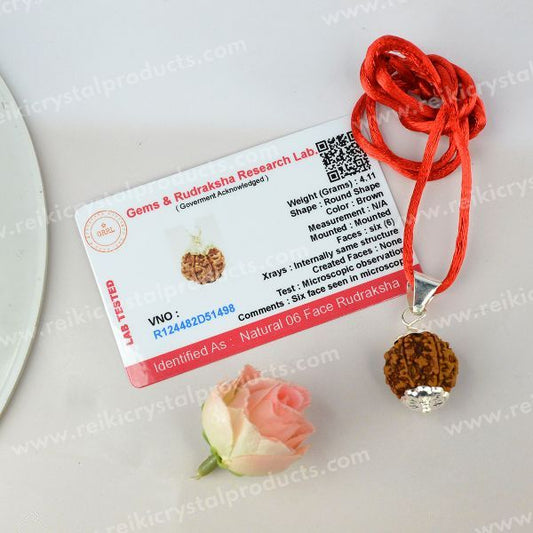 Lab Certified Six 6 Mukhi Rudraksha Pendant