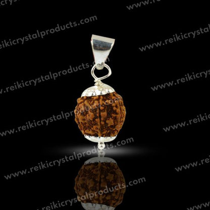 Lab Certified Six 6 Mukhi Rudraksha Pendant