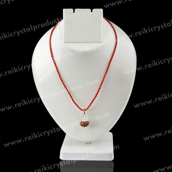 Lab Certified Seven 7 Mukhi Rudraksha Pendant