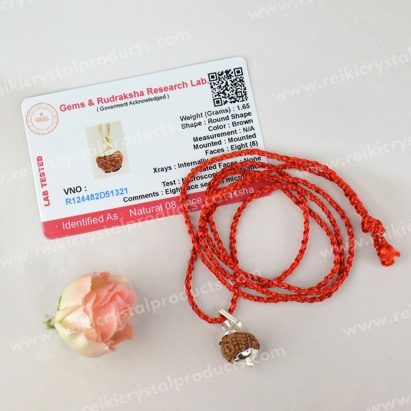 Lab Certified Eight 8 Mukhi Rudraksha Pendant