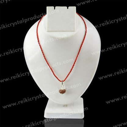 Lab Certified Eight 8 Mukhi Rudraksha Pendant