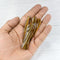 Tiger's Eye