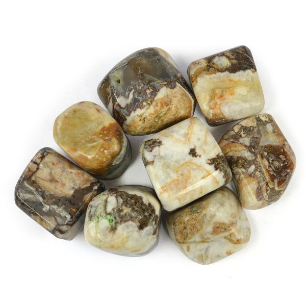 Wood Agate Tumble Stone