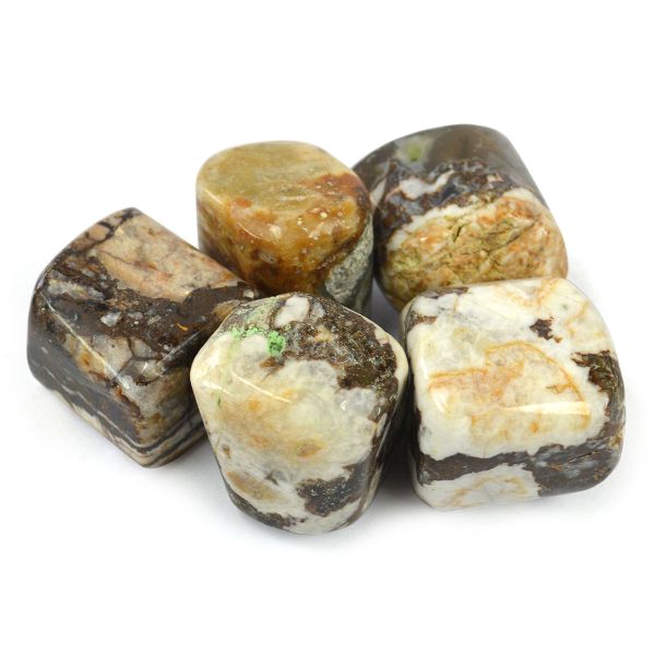 Wood Agate Tumble Stone