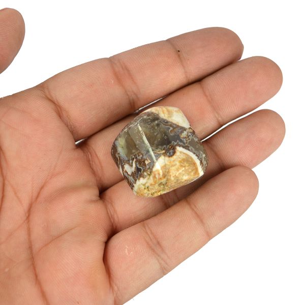 Wood Agate Tumble Stone