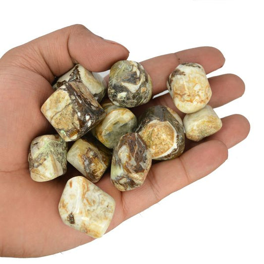 Wood Agate Tumble Stone