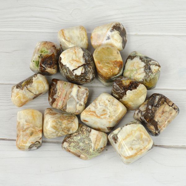 Wood Agate Tumble Stone