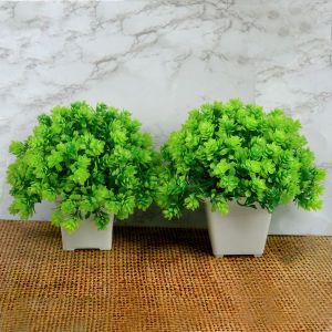 Artificial Bonsai Tree / Plants with Pot for Home Indoor Pack of Combo 2 pc