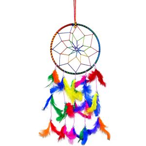 6 Inch Dream Catcher Wall Hanging for Positive Energy 
