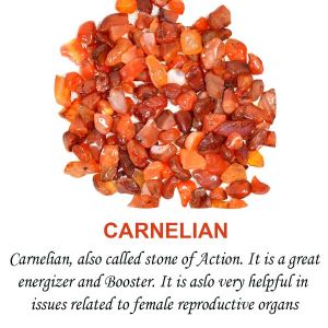 Carnelian Crystal / Stone Chips