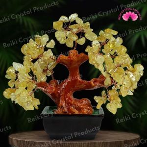 Citrine Tree Place for Good Luck and Prosperity