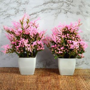 Artificial Bonsai Plants / Tree with Pot for Home Indoor Pack of Combo 2 pc