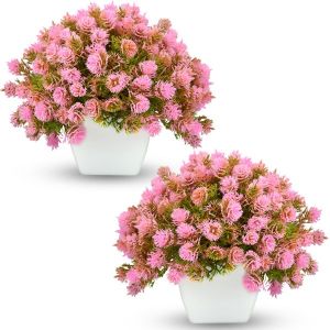 Artificial Bonsai Tree / Plants with Pot (Pack of Combo 2 pc)